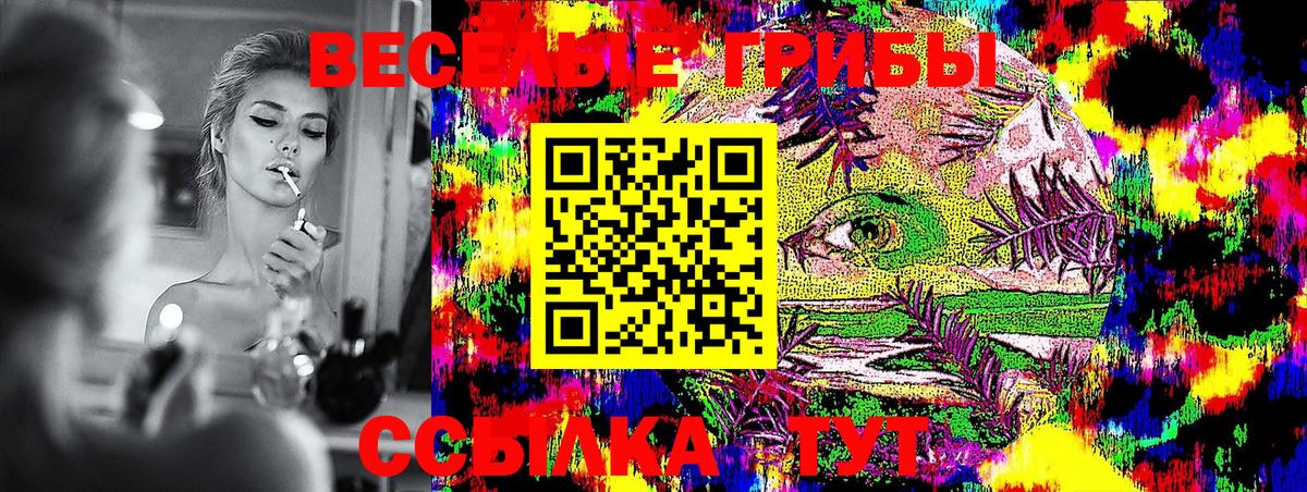 Галлюциногенные грибы GOLDEN TEACHER  где можно купить наркотик  Магнитогорск  Вход с VPN 